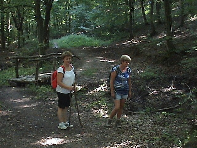 photo060.jpg