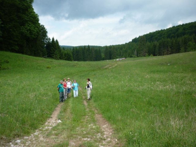 photo105.jpg