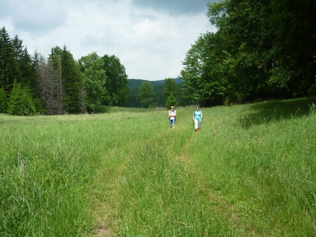 photo106.jpg