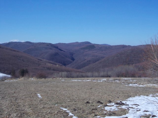 photo112.jpg