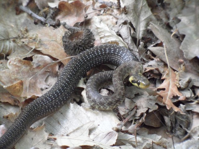 photo119.jpg