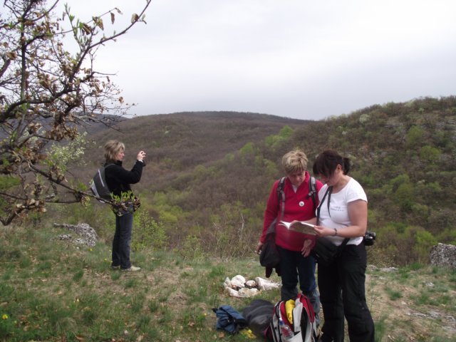 photo140.jpg