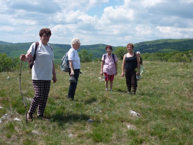 photo136.jpg