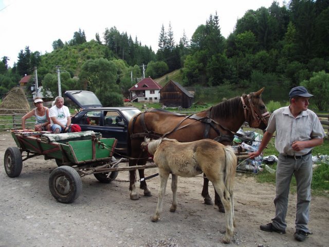 photo140.jpg
