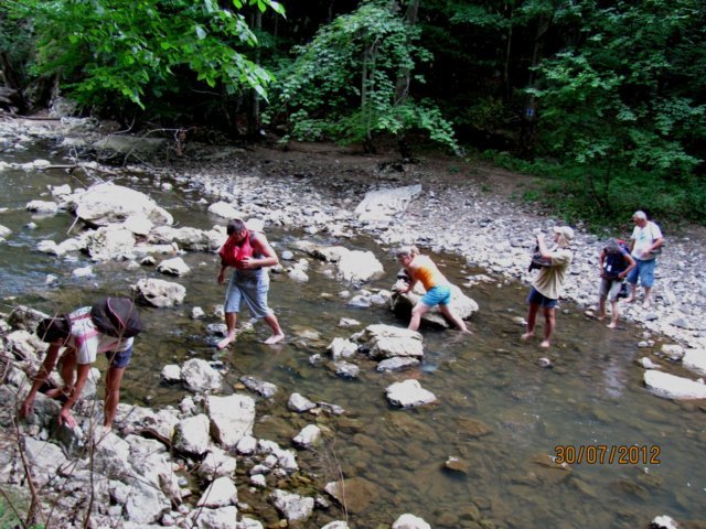photo144.jpg