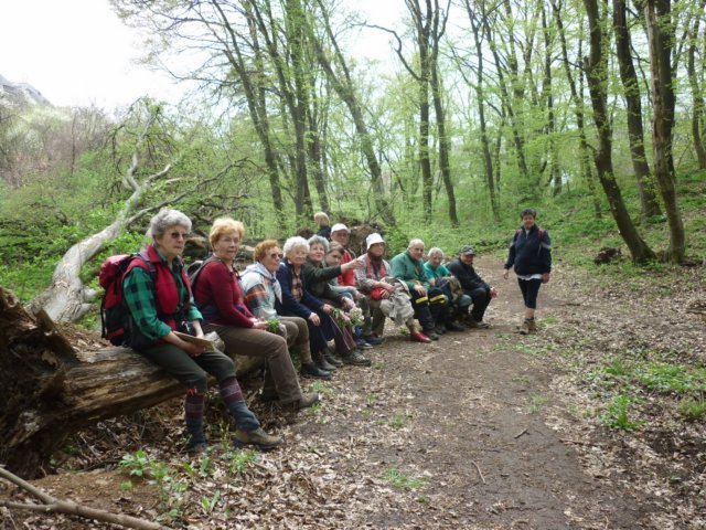 photo156.jpg