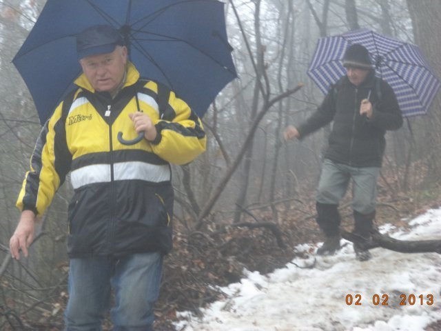 photo11.jpg