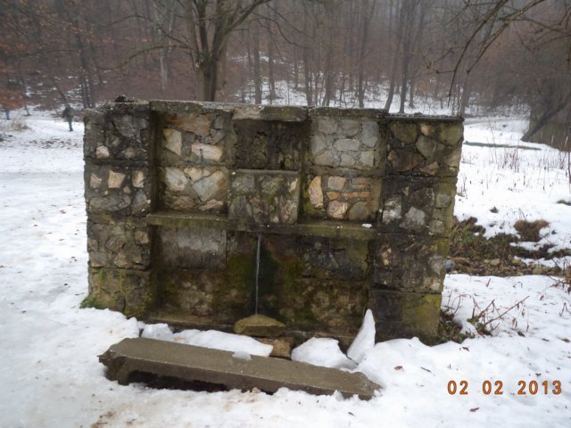 photo4.jpg