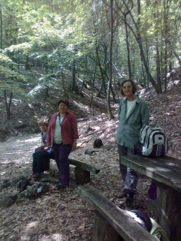 photo01.jpg