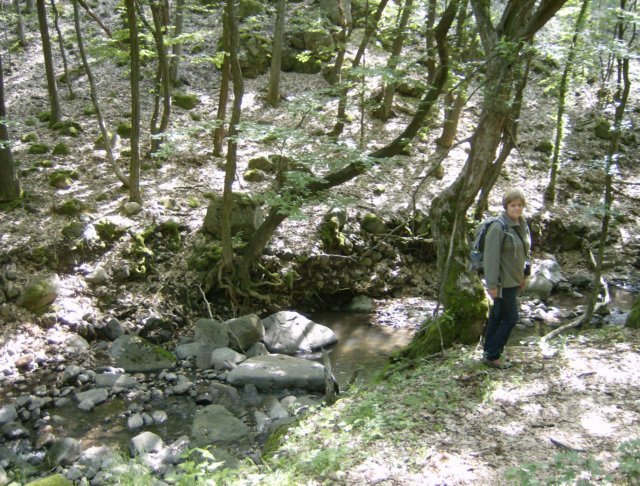 photo04.jpg