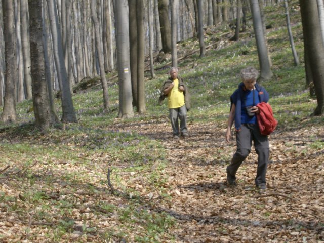 photo08.jpg