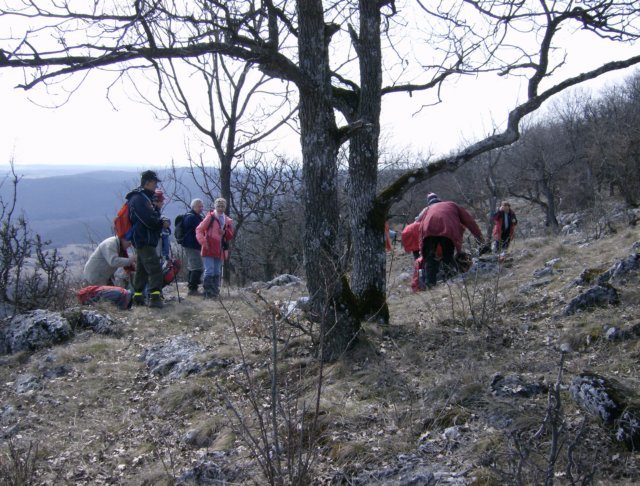 photo10.jpg