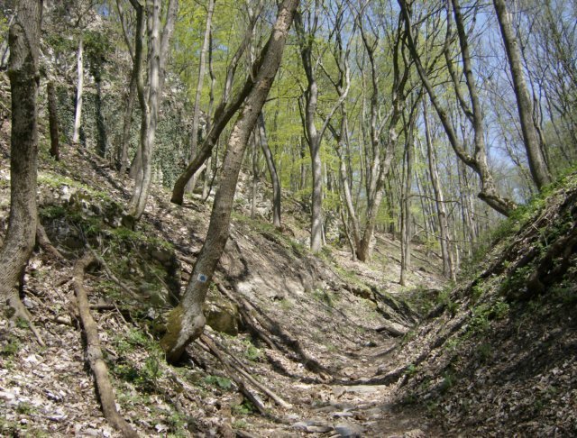 photo13.jpg