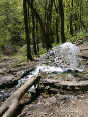 photo15.jpg