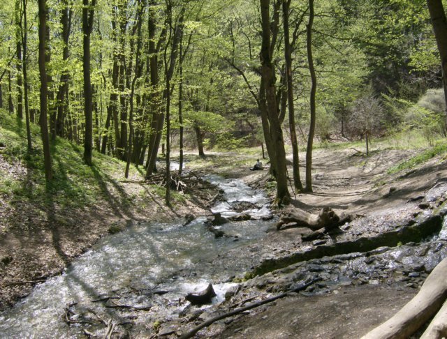 photo16.jpg
