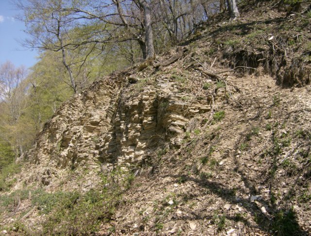 photo18.jpg