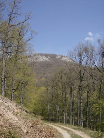 photo19.jpg