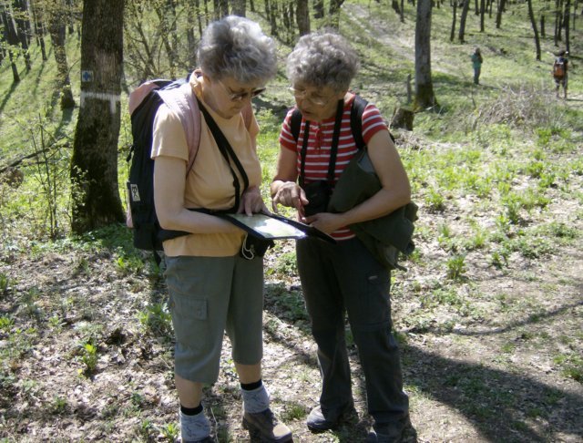 photo21.jpg