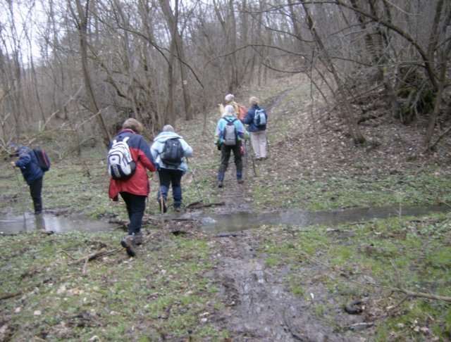 photo26.jpg