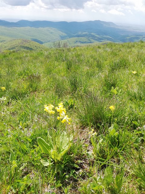 photo025.jpg