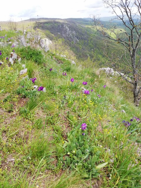 photo027.jpg