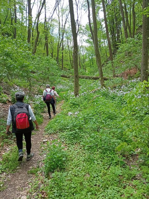 photo034.jpg