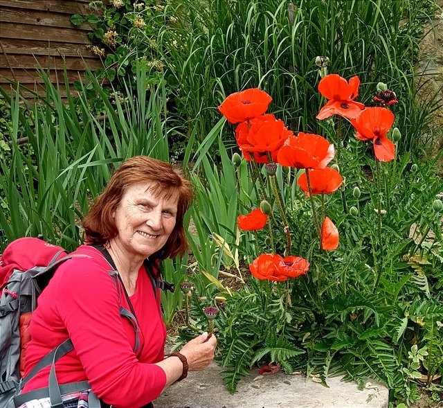 photo082.jpg