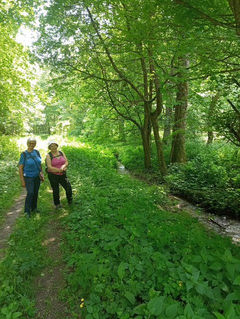 photo088.jpg
