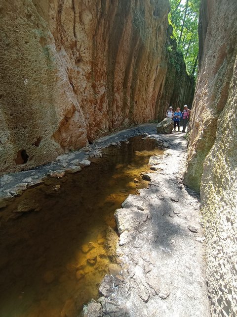 photo103.jpg