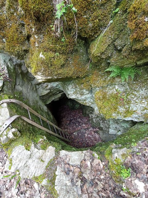 photo217.jpg