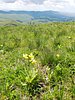 photo025.jpg