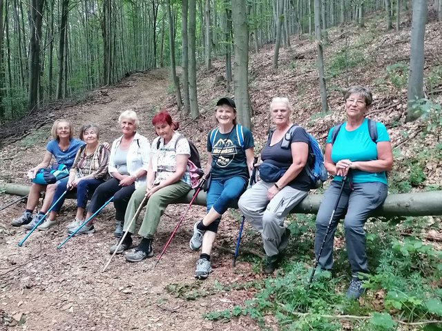 photo007.jpg