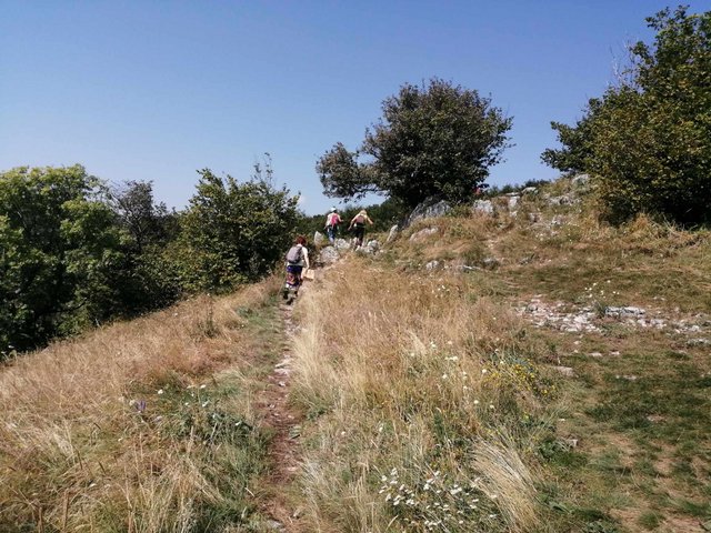 photo010.jpg