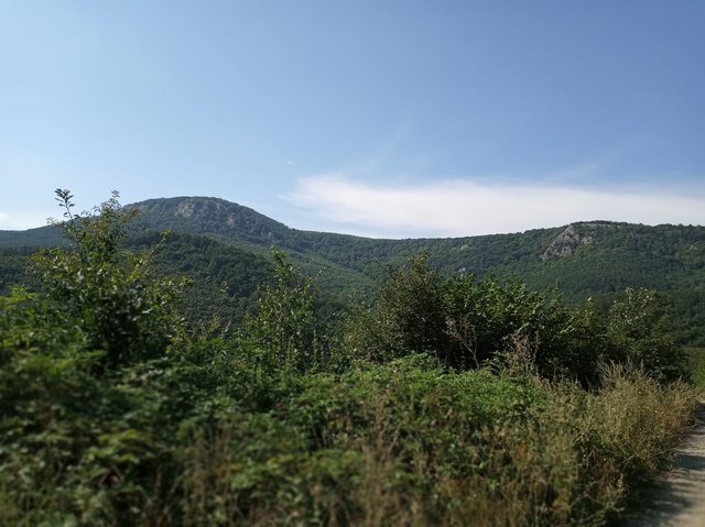 photo016.jpg