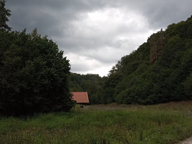 photo077.jpg