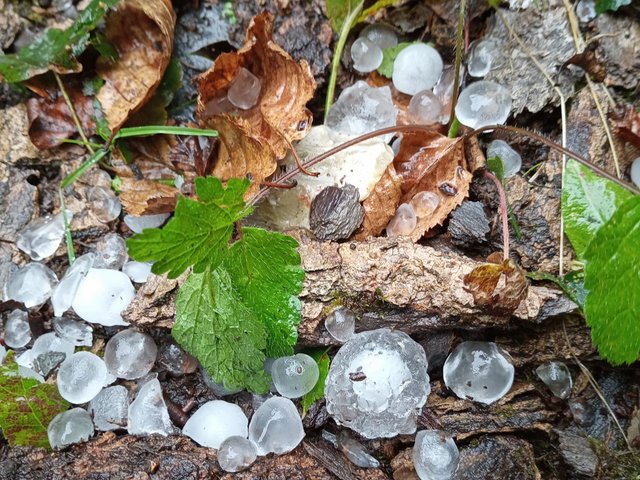 photo082.jpg