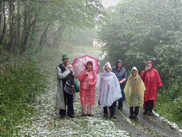 photo084.jpg