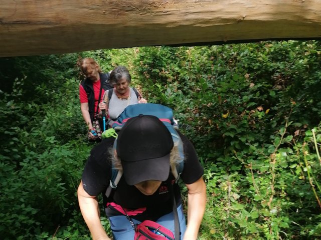 photo123.jpg
