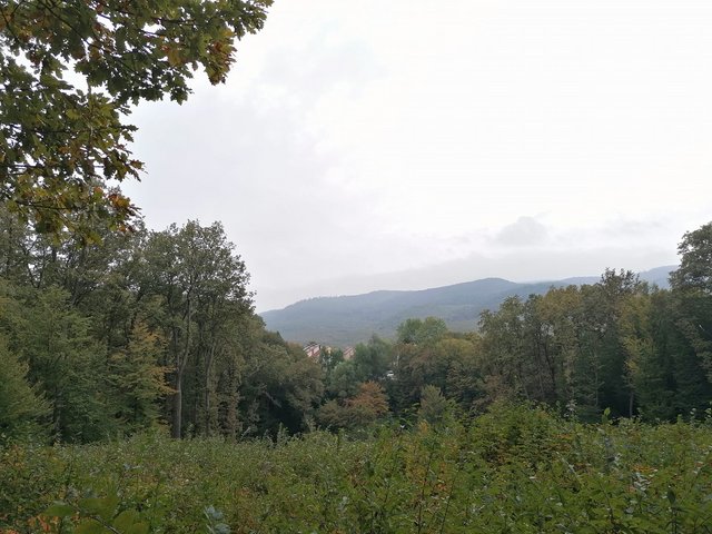 photo163.jpg