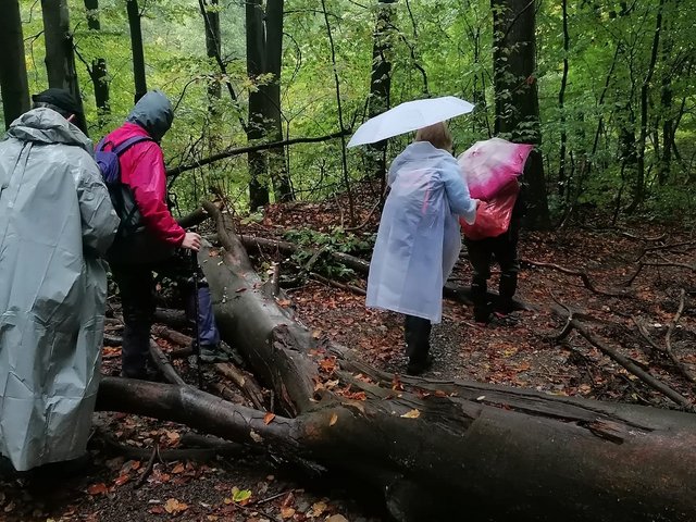 photo173.jpg