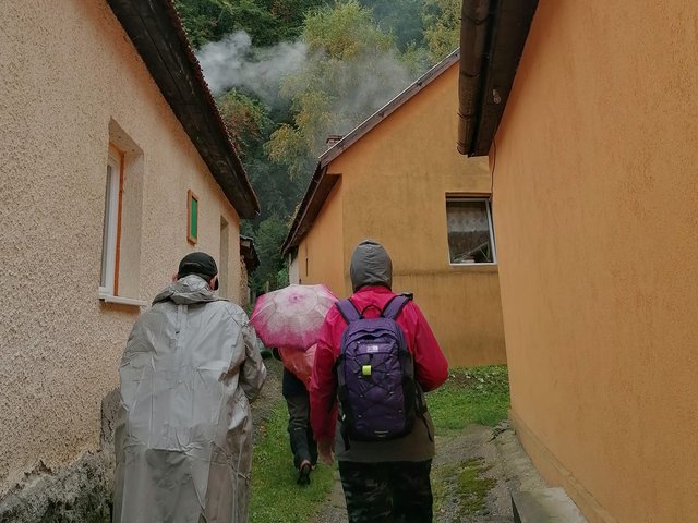 photo174.jpg