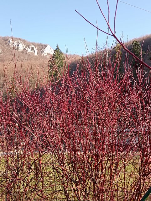 photo09.jpg