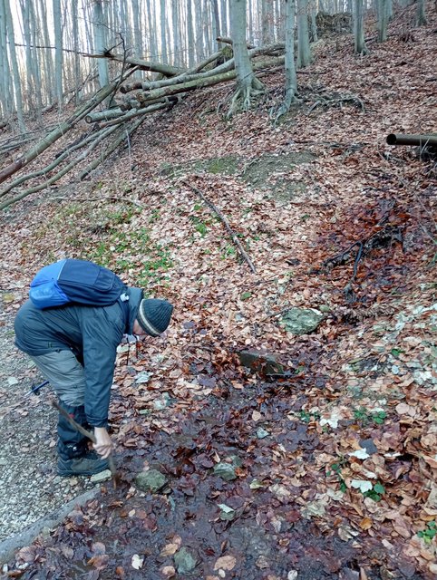 photo23.jpg