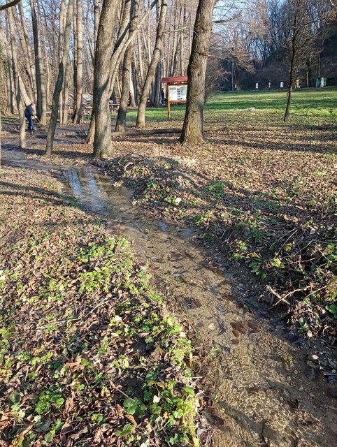 photo25.jpg