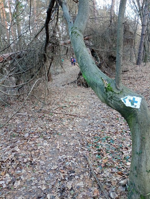 photo_005.jpg