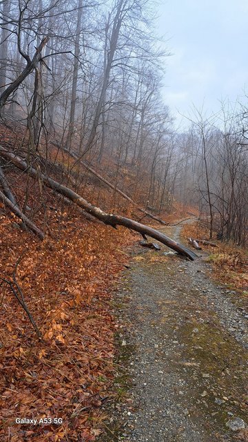 photo_230.jpg