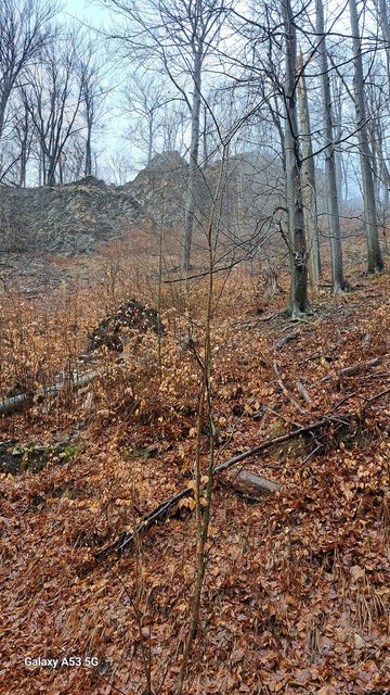 photo_232.jpg