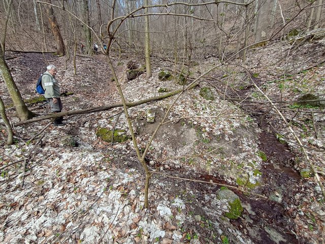 photo_355.jpg