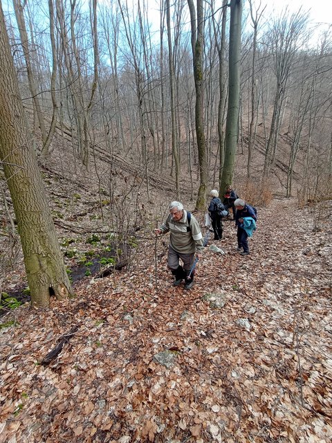 photo_371.jpg