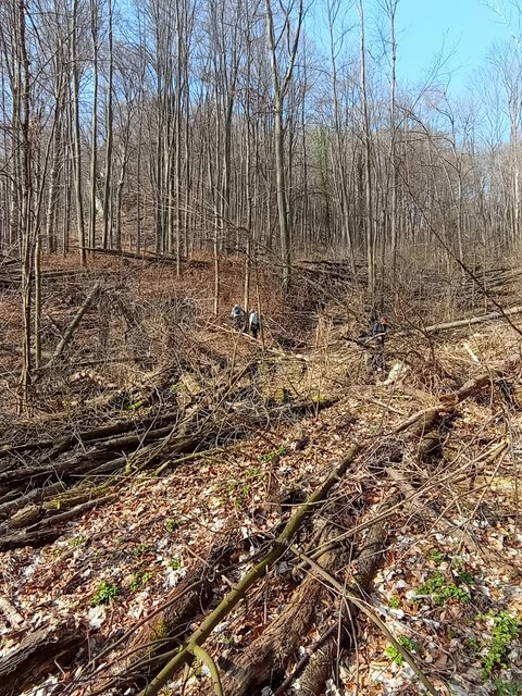 photo_376.jpg